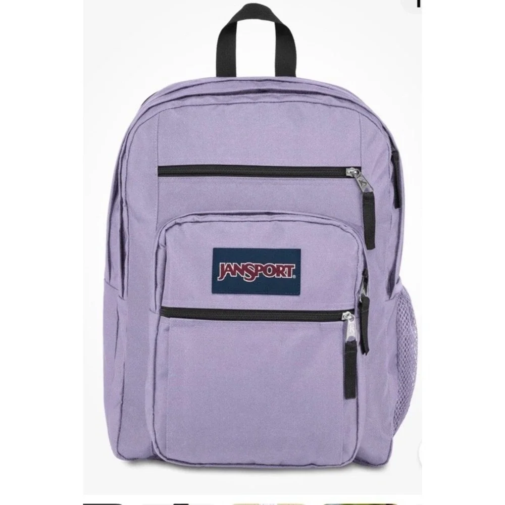 JanSport Laptop Backpack - Computer Bag with 2 Compartments Pastel Lilac